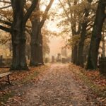 Ruhiger Friedhofsweg mit Bäumen im Herbstlicht